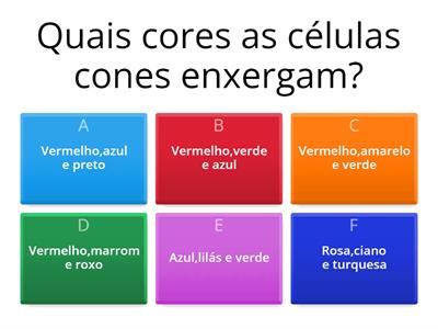 Olho e visão humana