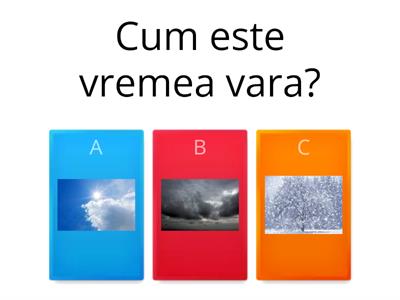 VARA