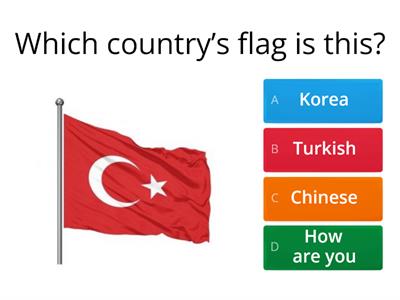 4.sınıf flag-bayrak South İndomitable 4/B