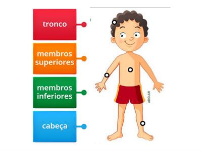 Partes Do Corpo Humano - Recursos De Ensino