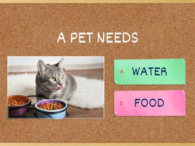 PET CARE 