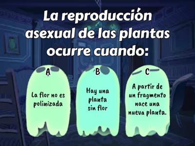 Reproducción asexual de las plantas.mer