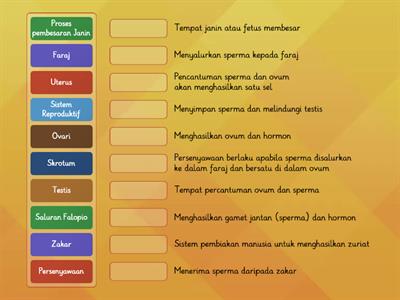 Sistem Reproduktif Manusia - Pendidikan Kesihatan Tahun 5 Semakan