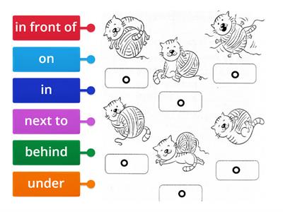 Spotlight 3 Module 6