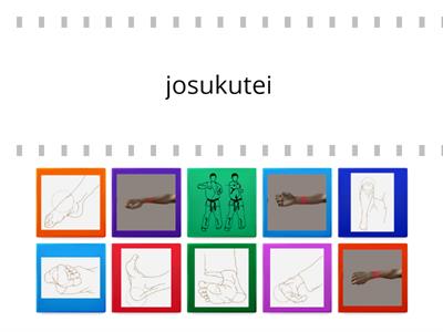 natuurlijke wapens (voet en andere)