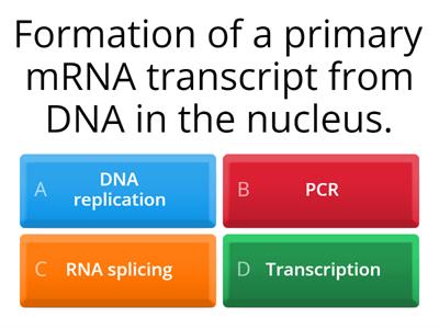 Quiz Transcription and RNA splicing