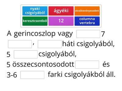Hiányzó szó - Gerincoszlop
