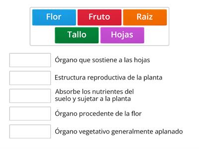 La planta y sus partes