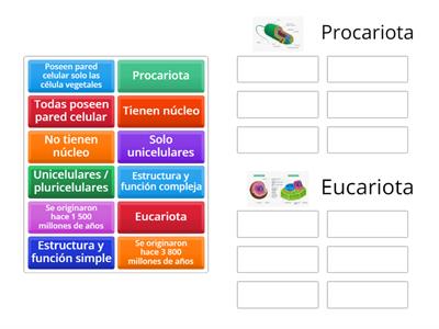 Célula procariota vs eucariota