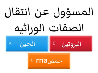 مدرسه النجاح - رهط                         