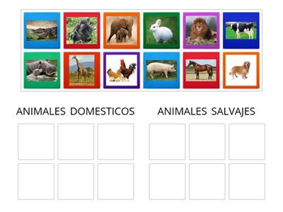  ANIMALES DOMÉSTICOS Y SALVAJES