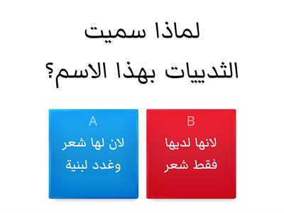 الثدييات