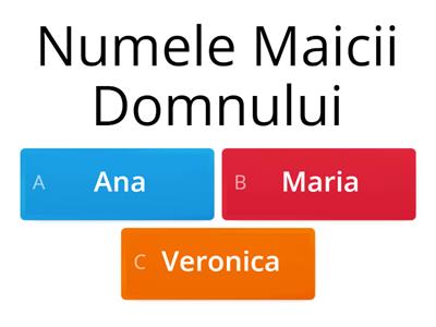 MAICA DOMNULUI