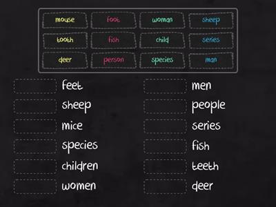 Irregular Nouns