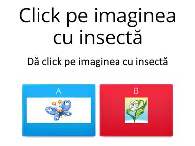 DESPRE INSECTE