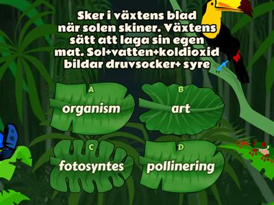 BIOLOGI Växter & Djur åk 4 