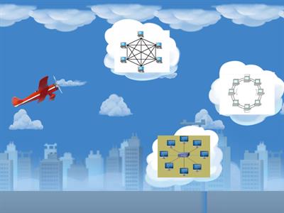 Identify the types of Network Topologies