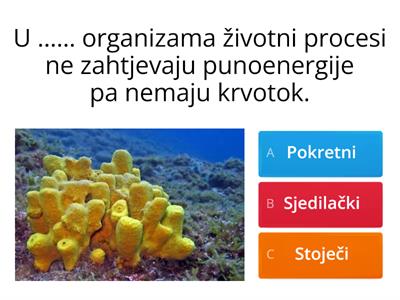 Zašto svi organizmi nemaju krvotok