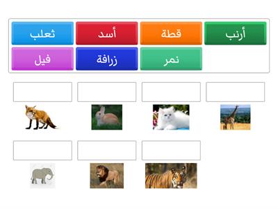 لعبة التعرف علي أسماء الحيوانات