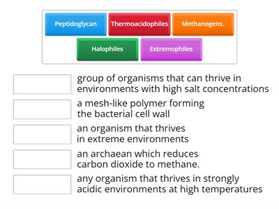 Biology 