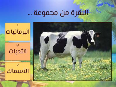 مجموعات الحيوانات 