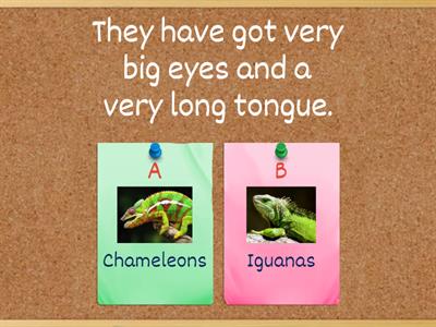 Incredible English 3 Lesson Chameleons 