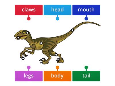 Dinosaur body parts