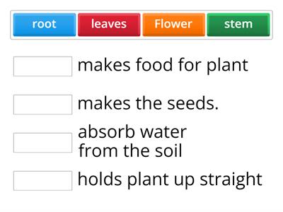  Parts of the plant and their functions 1