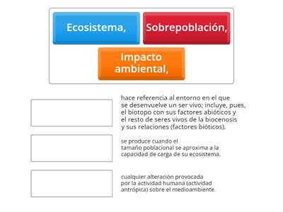 ACTIVIDAD INTERACTIVA