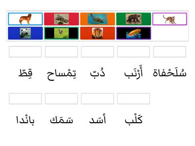 التَّدْريبات  Arapça 8