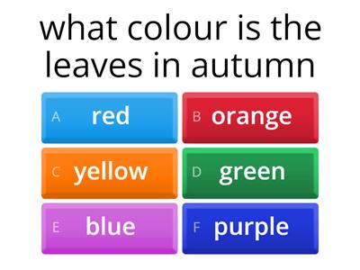 coloured tree leaves