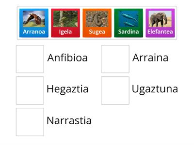 Animalia ornodunak jolasa