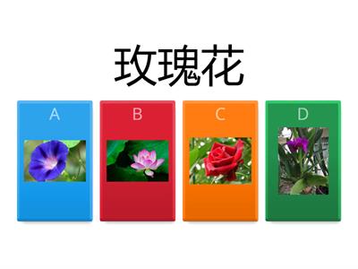 去公园吧（花）