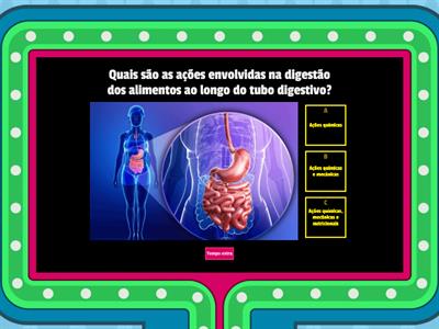 Sistema digestivo humano - 6.º ano