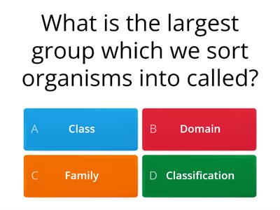 Classification Quiz
