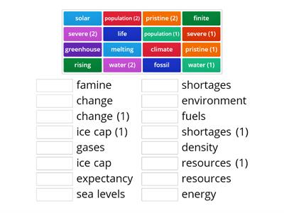 C2 U13.1 Environment Collocations