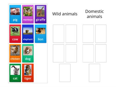 Wild vs Domestic Animals
