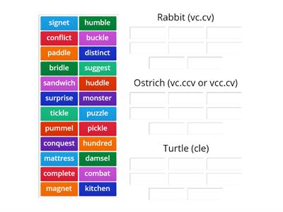 rabbit (vc.cv), ostrich (vc.ccv, vcc.cv), and turtle (cle)
