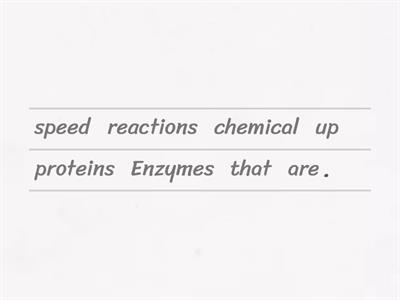 Enzymes unjumble