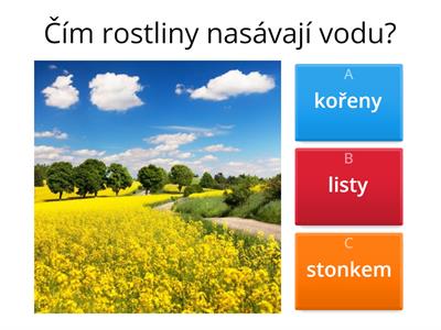 Živá příroda - rostliny