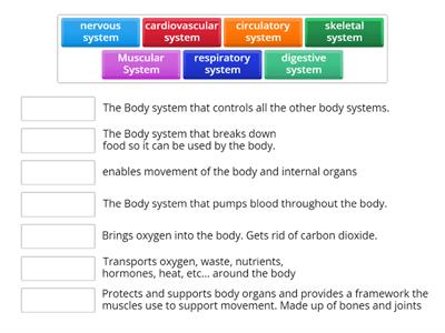 Human Body Functions 
