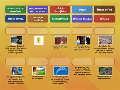 interferencia humana no ambiente