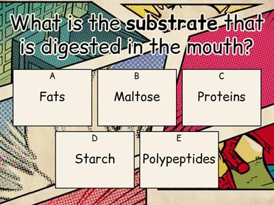 Digestion quiz