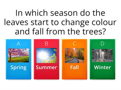 Seasons quiz