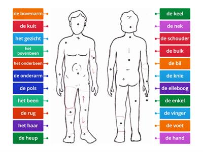 Lichaam EXTRA week 1 verbind het woord met het goede cijfer