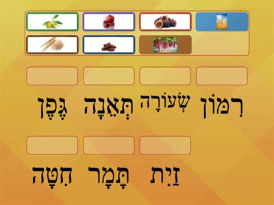 מספרים 11-20