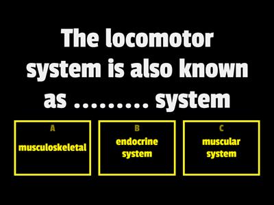 locomotor system