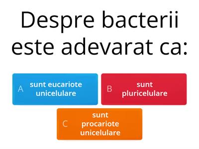 Structura si importanta Procariotelor