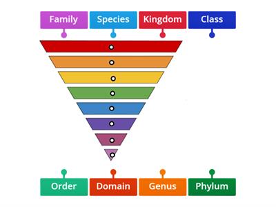  Linnaean Taxonomy: Levels of Classification