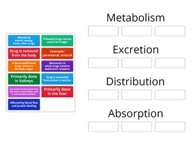 Pharmacology Basics / Pharmacokinetics